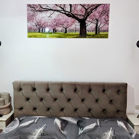White Studio Câmpulung Moldovenesc Dış mekan fotoğraf